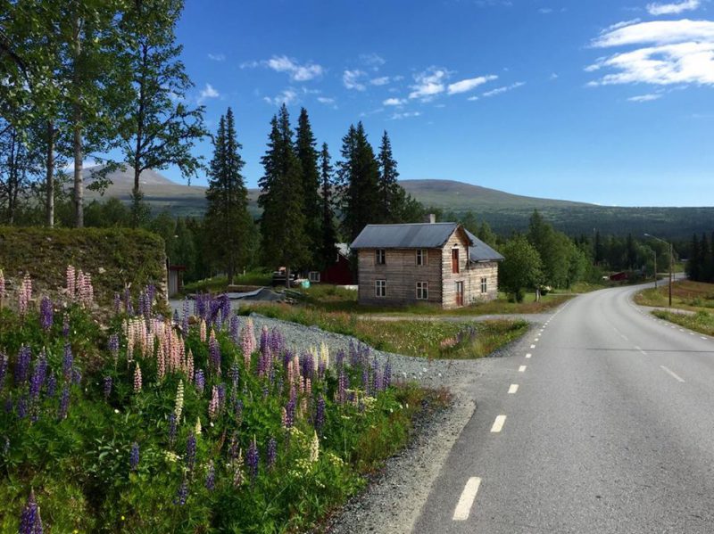 Morgonpromenad
