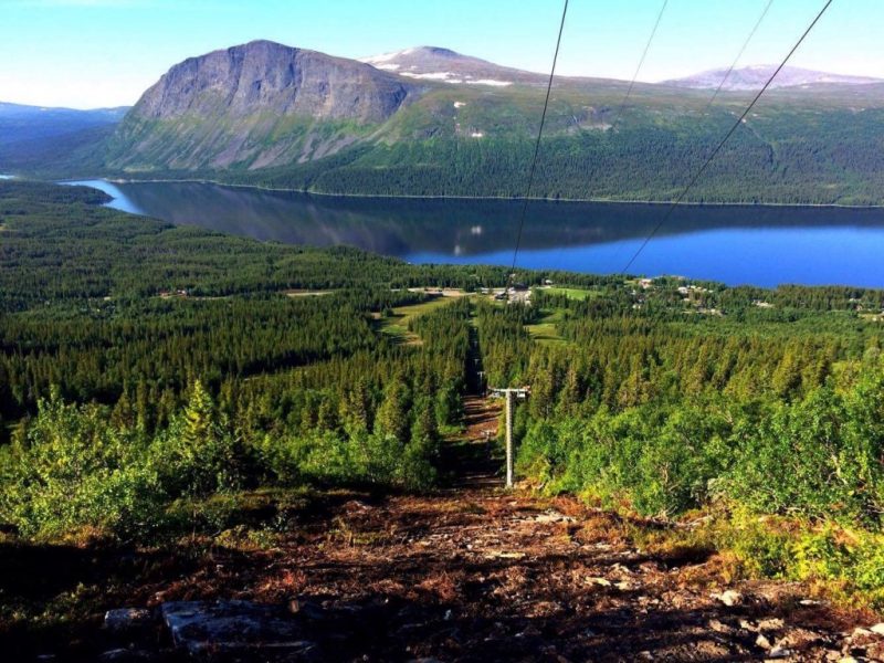 Morgonsol i toppen av skidbacken