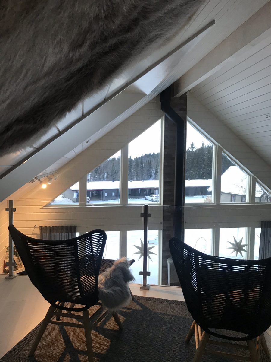 Loftet